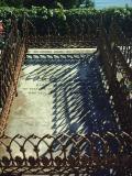 image number MENTBrockC1
